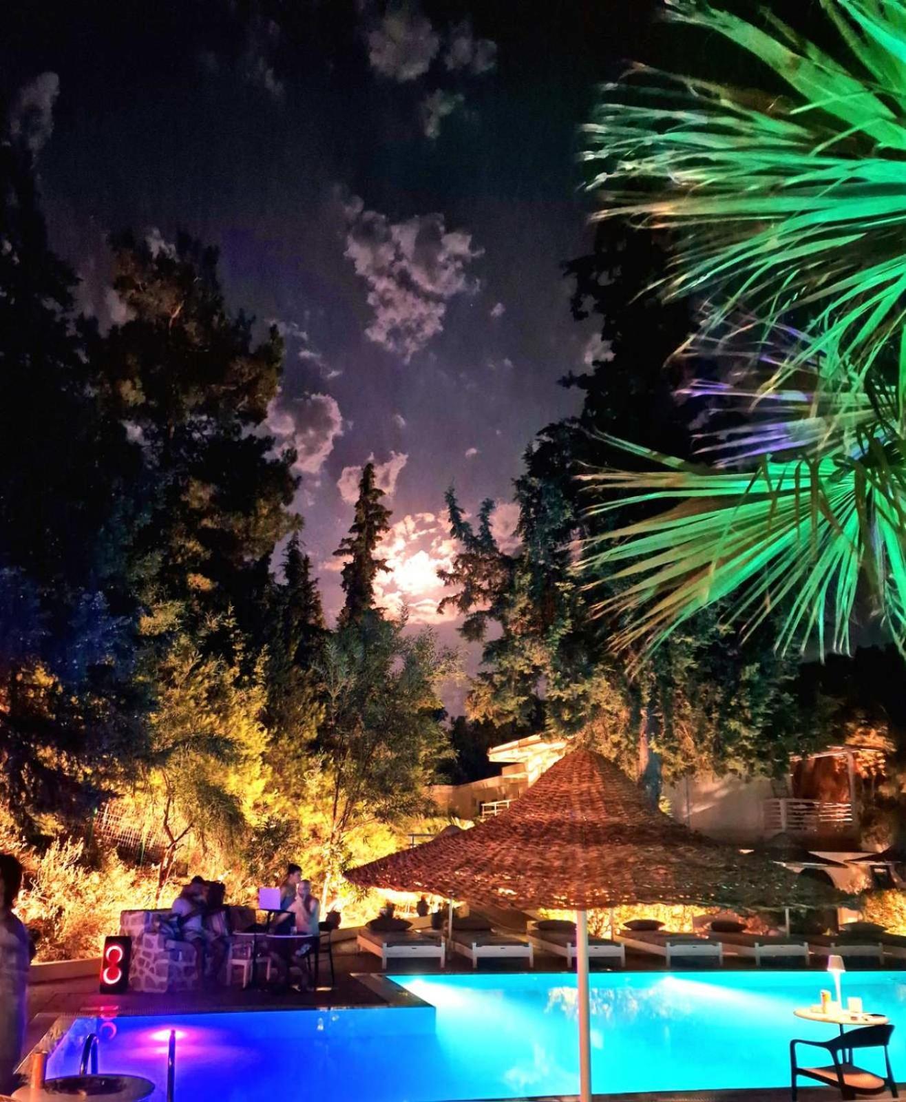 Pine Trees Art Hotel Ixia  Exterior photo