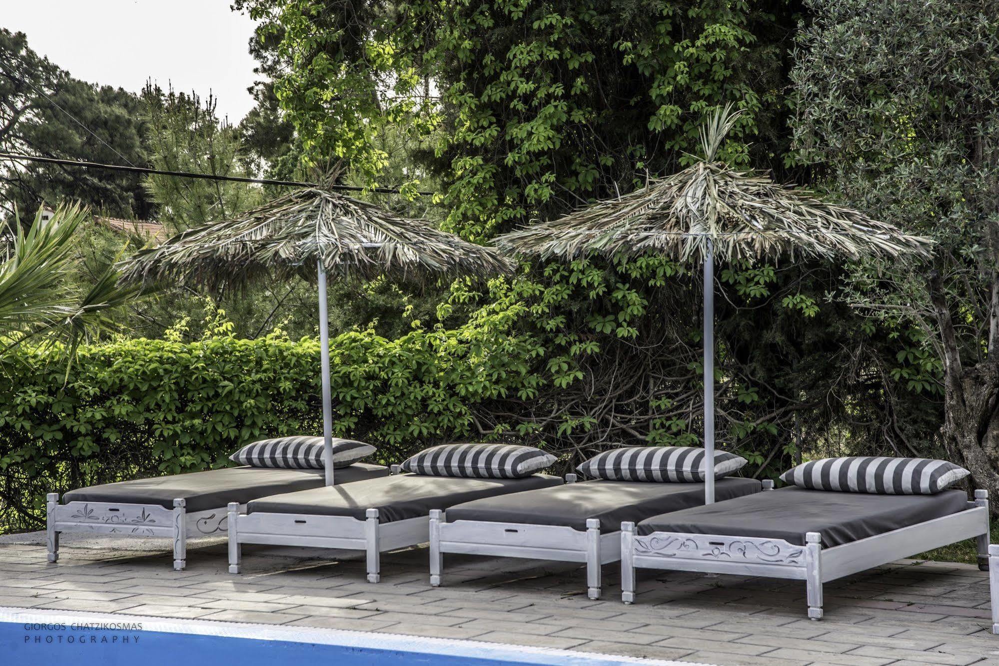 Pine Trees Art Hotel Ixia  Exterior photo