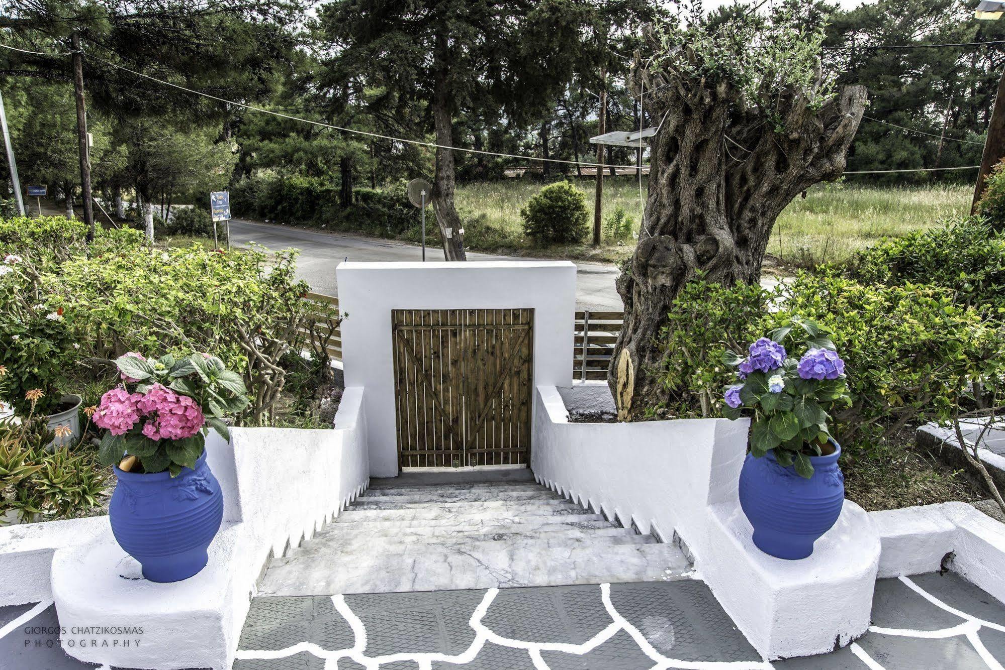 Pine Trees Art Hotel Ixia  Exterior photo